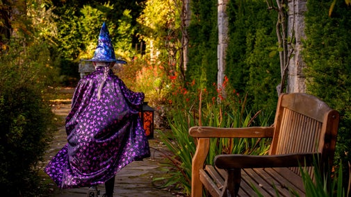 A little witch in the garden